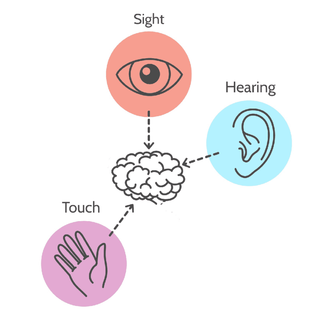 illustration of eye, ear, and hand with arrows point to the brain symbolizing sight, hearing, and touch senses