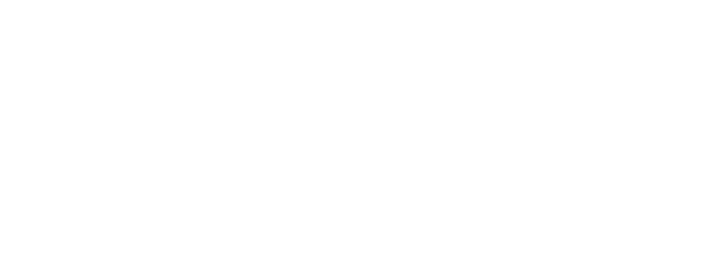 WordPress VIP Silver Agency Partner