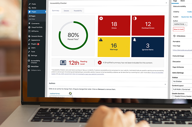 person using accessibility checker to audit their website for accessibility problems