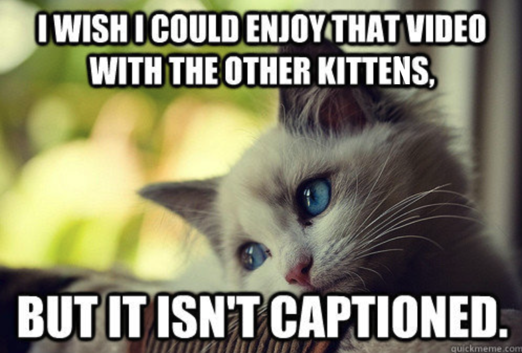 Sad kitten looking out the window meme with the words "I wish I could enjoy that video with the other kittens but it isn't captioned."