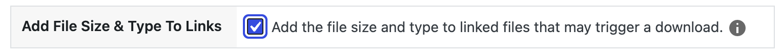 Accessibility Checker setting checked input with label:  Add the file size and type to linked files that may trigger a download. 